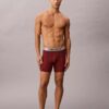 Boxer Briefs aus gebürsteter Mikrofaser mit Stretch Boxer Briefs aus gebürsteter Mikrofaser mit Stretch