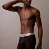 Boxer Briefs aus gebürsteter Mikrofaser mit Stretch Boxer Briefs aus gebürsteter Mikrofaser mit Stretch