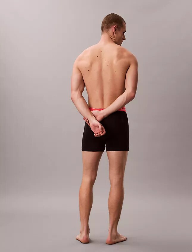 Cotton Classics 5er-Pack Boxer Briefs Cotton Classics 5er-Pack Boxer Briefs