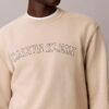Fleece-Sweatshirt mit Varsity-Logo-Grafik Fleece-Sweatshirt mit Varsity-Logo-Grafik