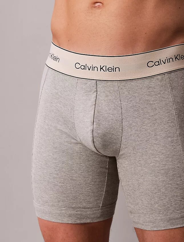 Heritage Boxer Briefs aus Cotton Stretch im 3er-Pack Heritage Boxer Briefs aus Cotton Stretch im 3er-Pack