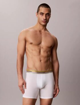 Icon Boxer Briefs aus Cotton Stretch