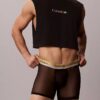 Icon Mesh Pride Boxer Briefs
