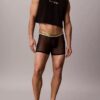 Icon Mesh Pride Boxer Briefs