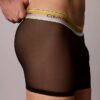 Icon Mesh Pride Boxer Briefs