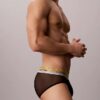 Icon Mesh Pride Hip Brief