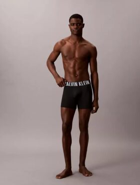 Intense Power Micro 3er-Pack Boxer Briefs