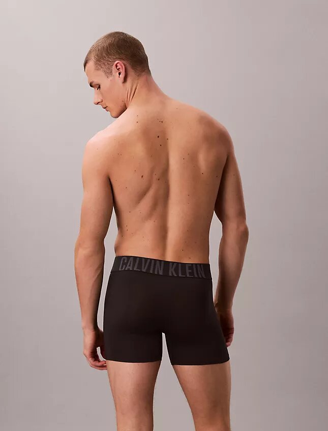 Intense Power Micro 3er-Pack Boxer Briefs Intense Power Micro 3er-Pack Boxer Briefs