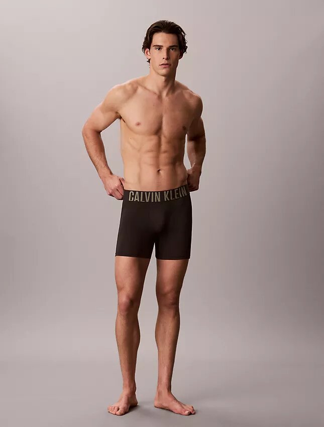Intense Power Micro 3er-Pack Boxer Briefs Intense Power Micro 3er-Pack Boxer Briefs