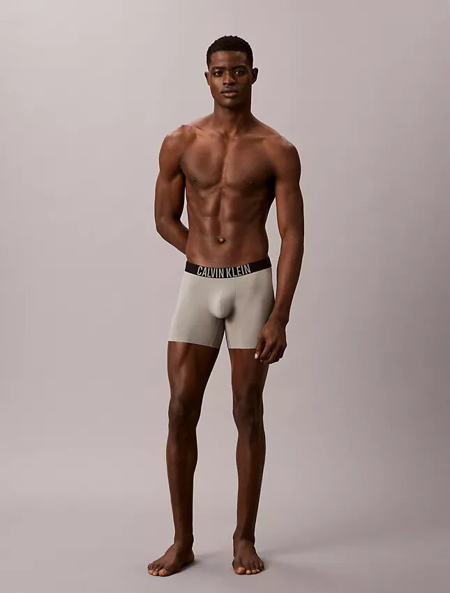 Intense Power Motion Boxer Briefs Intense Power Motion Boxer Briefs