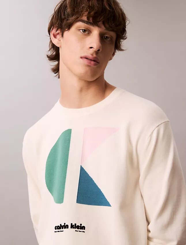 Klassischer Pullover mit Colorblock-Logo-Grafik Klassischer Pullover mit Colorblock-Logo-Grafik