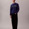 Klassisches Sweatshirt mit Fleece-Streifen