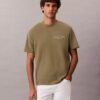 Klassisches T-Shirt mit kleinem Schriftzug-Logo Klassisches T-Shirt mit kleinem Schriftzug-Logo