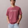Klassisches T-Shirt mit Logo-Grafik in Kleinbuchstaben