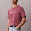 Klassisches T-Shirt mit Logo-Grafik in Kleinbuchstaben