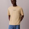 Klassisches T-Shirt mit Rundhalsausschnitt und Logo-Grafik in verwaschener Optik Klassisches T-Shirt mit Rundhalsausschnitt und Logo-Grafik in verwaschener Optik