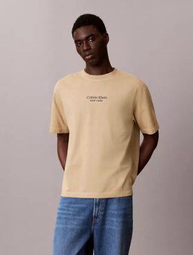 Klassisches T-Shirt mit Rundhalsausschnitt und Logo-Grafik in verwaschener Optik