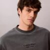 Klassisches T-Shirt mit Rundhalsausschnitt und Logo-Grafik in verwaschener Optik