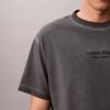 Klassisches T-Shirt mit Rundhalsausschnitt und Logo-Grafik in verwaschener Optik