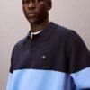 Locker sitzender Polo-Pullover aus Baumwolle Locker sitzender Polo-Pullover aus Baumwolle