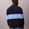 Locker sitzender Polo-Pullover aus Baumwolle Locker sitzender Polo-Pullover aus Baumwolle