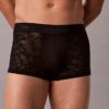 Microfiber-Spitzen-Low Rise Trunk Microfiber-Spitzen-Low Rise Trunk