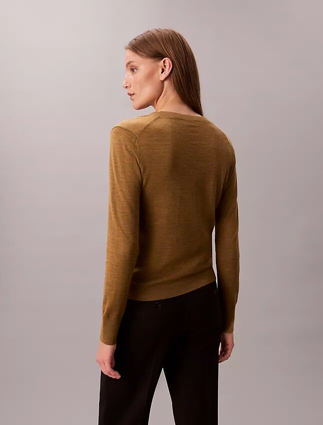 Pullover aus Merinowolle mit V-Ausschnitt Pullover aus Merinowolle mit V-Ausschnitt