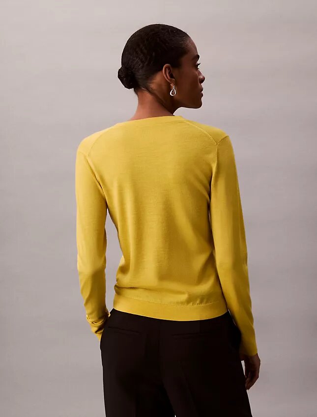 Pullover aus Merinowolle mit V-Ausschnitt Pullover aus Merinowolle mit V-Ausschnitt