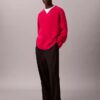 Pullover mit V-Ausschnitt aus Merinowollmischung Pullover mit V-Ausschnitt aus Merinowollmischung