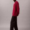 Pullover mit V-Ausschnitt aus Merinowollmischung Pullover mit V-Ausschnitt aus Merinowollmischung