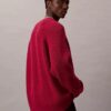 Pullover mit V-Ausschnitt aus Merinowollmischung Pullover mit V-Ausschnitt aus Merinowollmischung