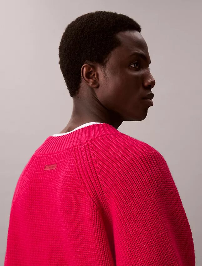 Pullover mit V-Ausschnitt aus Merinowollmischung Pullover mit V-Ausschnitt aus Merinowollmischung