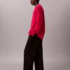 Pullover mit V-Ausschnitt aus Merinowollmischung Pullover mit V-Ausschnitt aus Merinowollmischung