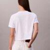 T-Shirt mit Schriftzug-Logo, kurz geschnitten und kastenförmig T-Shirt mit Schriftzug-Logo, kurz geschnitten und kastenförmig