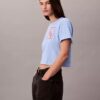 T-Shirt mit Schriftzug-Logo, kurz geschnitten und kastenförmig T-Shirt mit Schriftzug-Logo, kurz geschnitten und kastenförmig